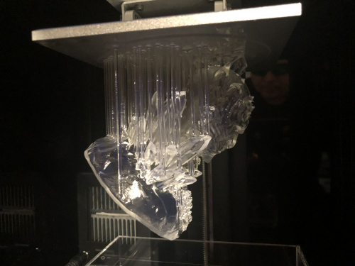 4t9ljtyqmqheowd2qqjdhzsdnm262vvu